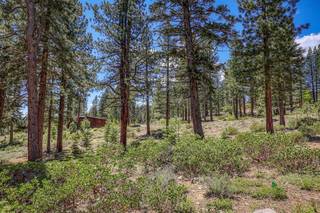 Listing Image 8 for 11759 Coburn Drive, Truckee, CA 96161