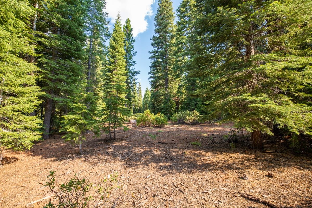 Image for 8406 Valhalla Drive, Truckee, CA 96161