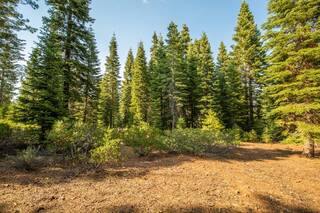 Listing Image 3 for 8406 Valhalla Drive, Truckee, CA 96161