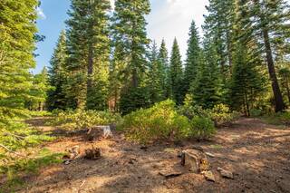 Listing Image 5 for 8406 Valhalla Drive, Truckee, CA 96161