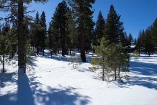 Listing Image 7 for 7445 Lahontan Drive, Truckee, CA 96161