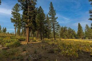 Listing Image 7 for 8297 Ehrman Drive, Truckee, CA 96161