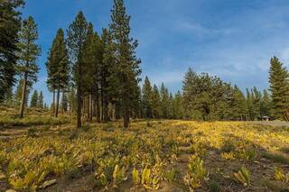 Listing Image 9 for 8297 Ehrman Drive, Truckee, CA 96161