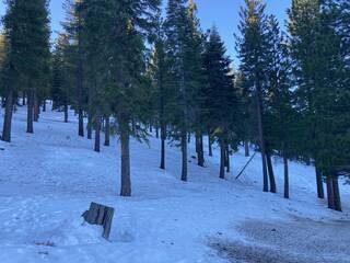 Listing Image 16 for 2640 Mill Site Road, Truckee, CA 96161