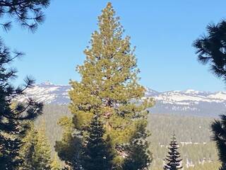 Listing Image 17 for 2640 Mill Site Road, Truckee, CA 96161
