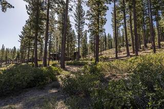 Listing Image 4 for 8107 Fallen Leaf Way, Truckee, CA 96161
