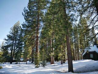 Listing Image 17 for 121 James Reed, Truckee, CA 96161