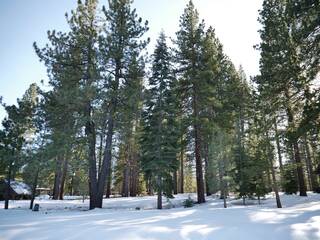 Listing Image 18 for 121 James Reed, Truckee, CA 96161