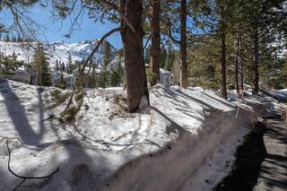 Listing Image 19 for 460 Squaw Peak Road, Olympic Valley, CA 96146