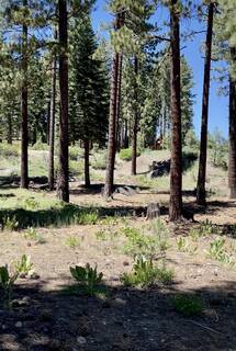 Listing Image 1 for 11937 Lamplighter Way, Truckee, CA 96161