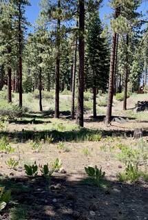 Listing Image 2 for 11937 Lamplighter Way, Truckee, CA 96161