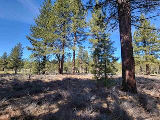Listing Image 10 for 11633 Henness Road, Truckee, CA 96161