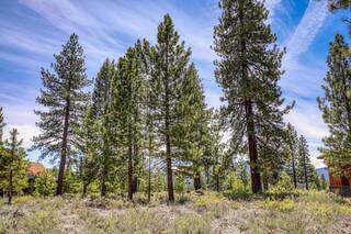 Listing Image 11 for 12447 Settlers Lane, Truckee, CA 96161