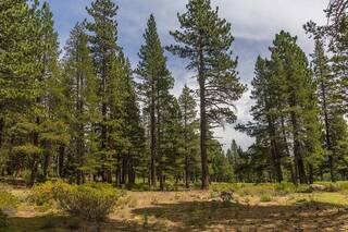 Listing Image 3 for 8860 George Whittell, Truckee, CA 96161