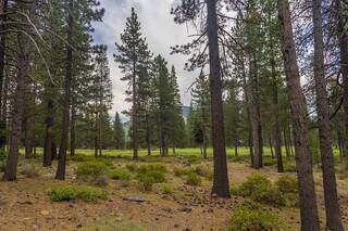 Listing Image 8 for 8860 George Whittell, Truckee, CA 96161