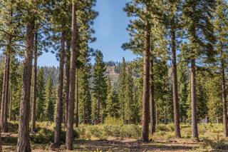 Listing Image 3 for 9517 Dunsmuir Way, Truckee, CA 96161