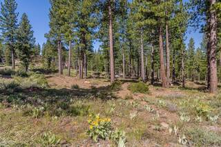 Listing Image 4 for 9517 Dunsmuir Way, Truckee, CA 96161