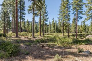 Listing Image 5 for 9517 Dunsmuir Way, Truckee, CA 96161