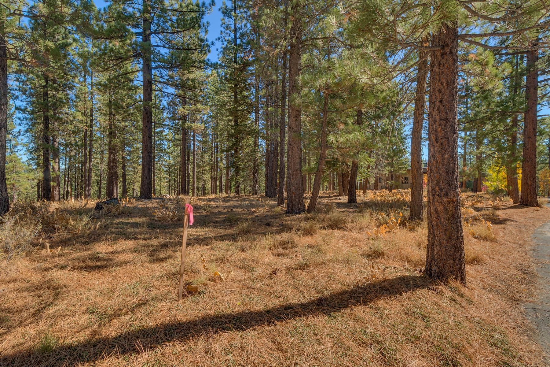Image for 255 Laura Knight, Truckee, CA 96161