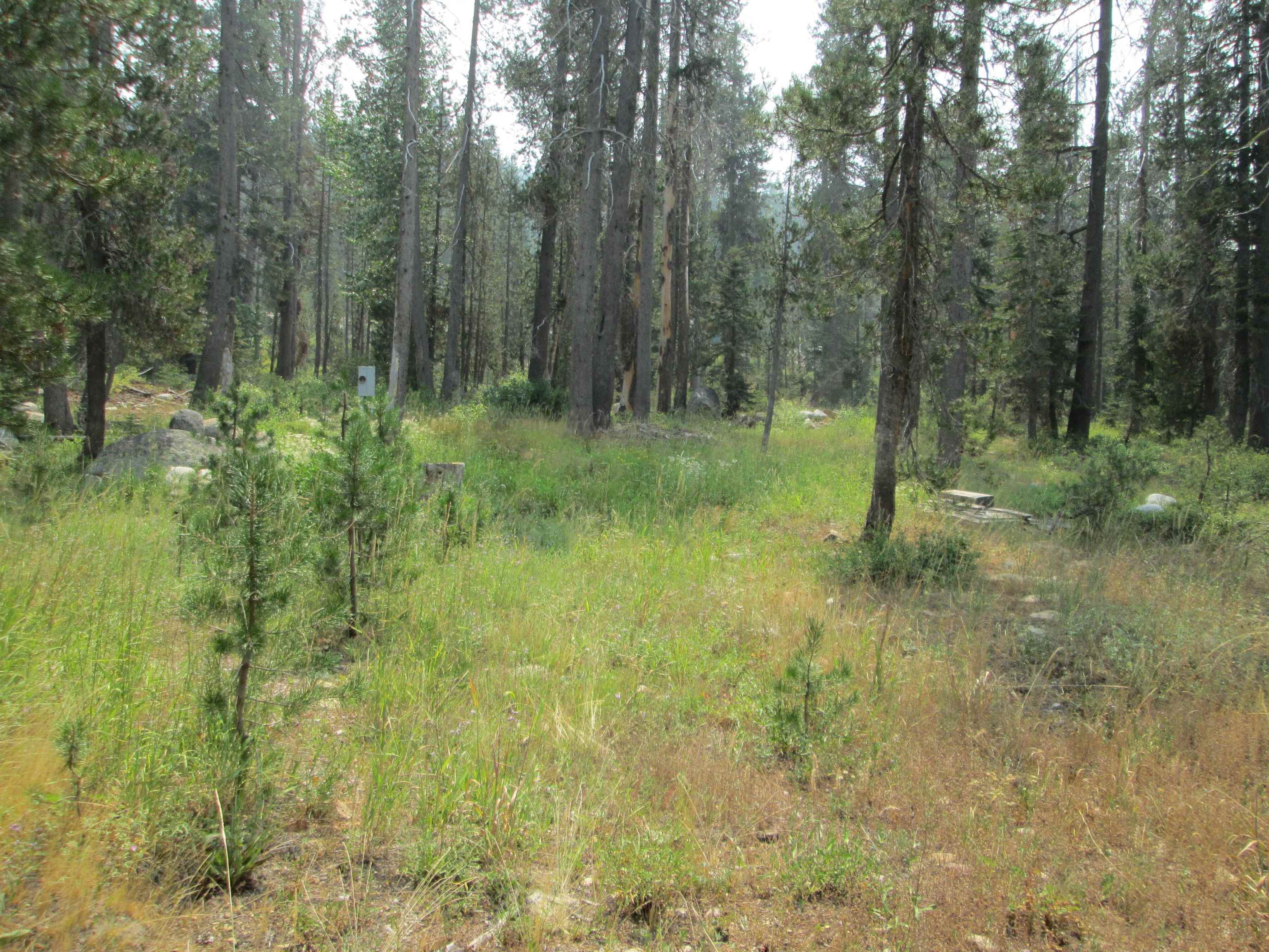 Image for 51337 Donner Pass Road, Soda Springs, CA 96161-0000