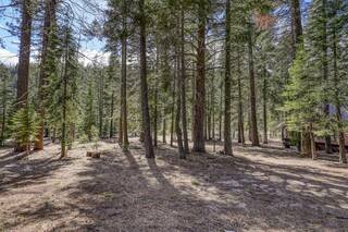 Listing Image 13 for 0000 River Road, Truckee, CA 96161