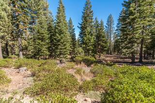 Listing Image 1 for 10926 Olana Drive, Truckee, CA 96161