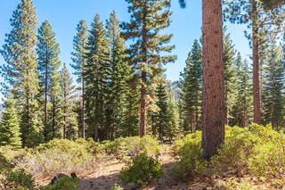 Listing Image 3 for 10926 Olana Drive, Truckee, CA 96161