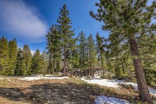 Listing Image 6 for 14028 Gates Look, Truckee, CA 96161
