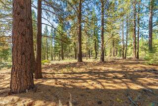Listing Image 11 for 10551 Brickell Court, Truckee, CA 96161