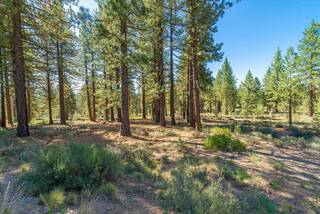 Listing Image 4 for 10551 Brickell Court, Truckee, CA 96161