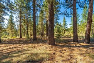 Listing Image 8 for 10551 Brickell Court, Truckee, CA 96161