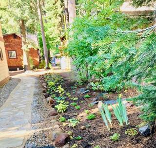 Listing Image 21 for 15791 Willow Street, Truckee, CA 96161