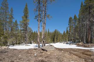 Listing Image 16 for 20954 Donner Pass Road, Soda Springs, CA 95728