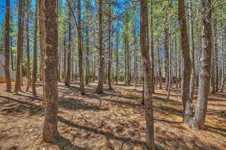 Listing Image 6 for 14668 Davos Drive, Truckee, CA 96161-0000