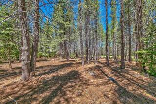 Listing Image 9 for 14668 Davos Drive, Truckee, CA 96161-0000
