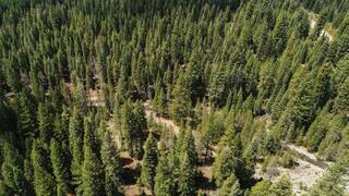 Listing Image 15 for 12600 Highway 36 East, Lake Almanor, CA 96137
