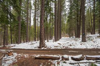 Listing Image 21 for 10281 Thomas Drive, Truckee, CA 96161-5012