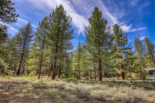Listing Image 13 for 11690 Bottcher Loop, Truckee, CA 96161