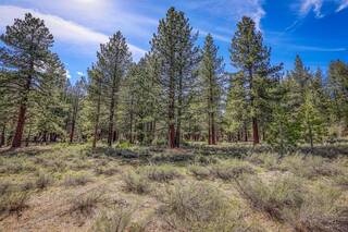 Listing Image 16 for 11690 Bottcher Loop, Truckee, CA 96161