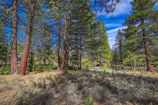 Listing Image 9 for 11690 Bottcher Loop, Truckee, CA 96161