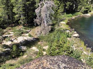 Listing Image 11 for Sierra Buttes Road, Sierra City, CA 96118-0000