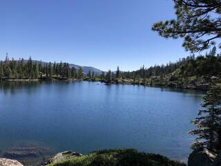 Listing Image 4 for Sierra Buttes Road, Sierra City, CA 96118-0000