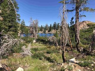 Listing Image 9 for Sierra Buttes Road, Sierra City, CA 96118-0000