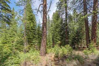Listing Image 13 for 10336 Palisades Drive, Truckee, CA 96161