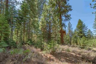 Listing Image 10 for 10336 Palisades Drive, Truckee, CA 96161