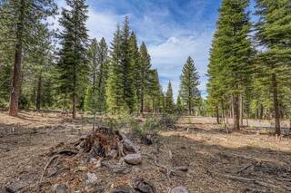 Listing Image 14 for 9274 Brae Road, Truckee, CA 96161