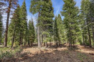 Listing Image 10 for 9274 Brae Road, Truckee, CA 96161
