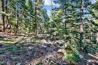 Listing Image 7 for 10573 Snowshoe Circle, Truckee, CA 96161-2747