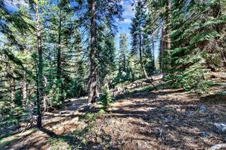 Listing Image 8 for 10573 Snowshoe Circle, Truckee, CA 96161-2747