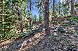 Listing Image 9 for 10573 Snowshoe Circle, Truckee, CA 96161-2747